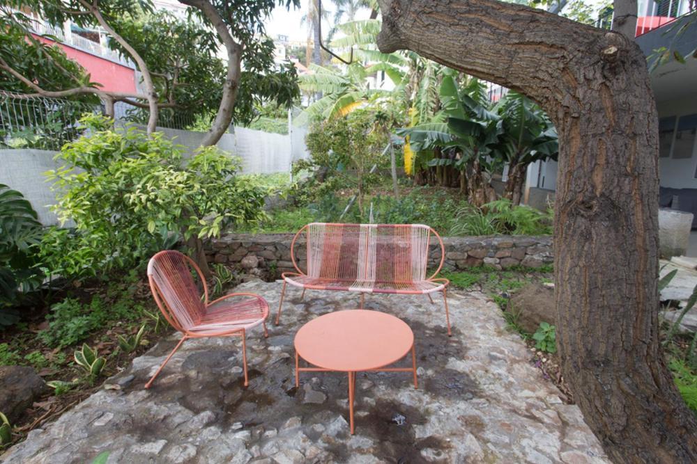 Rochinha Cozy Home Funchal  Kültér fotó
