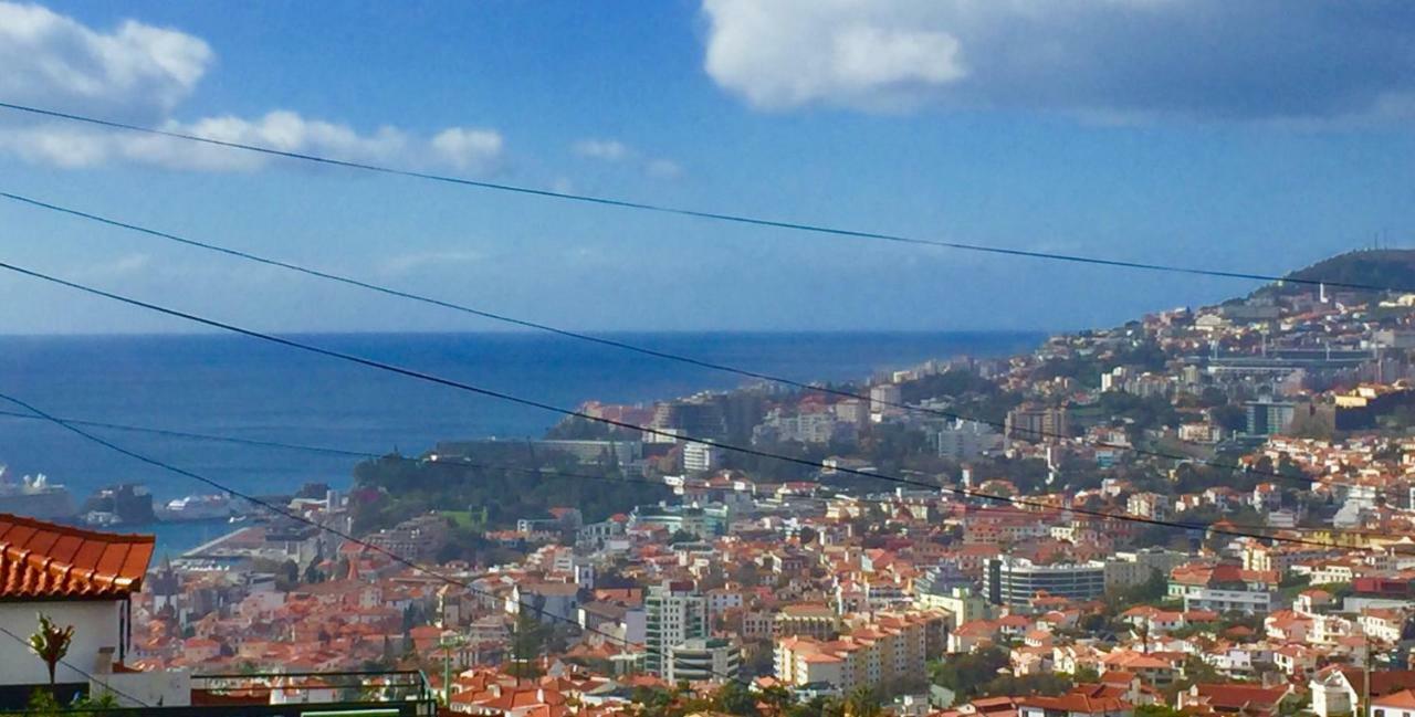 Rochinha Cozy Home Funchal  Kültér fotó